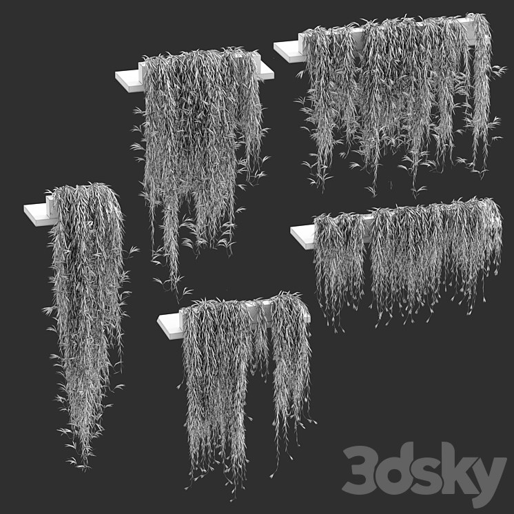 Hanging plants for shelves. 5 models. set 3 3D Model