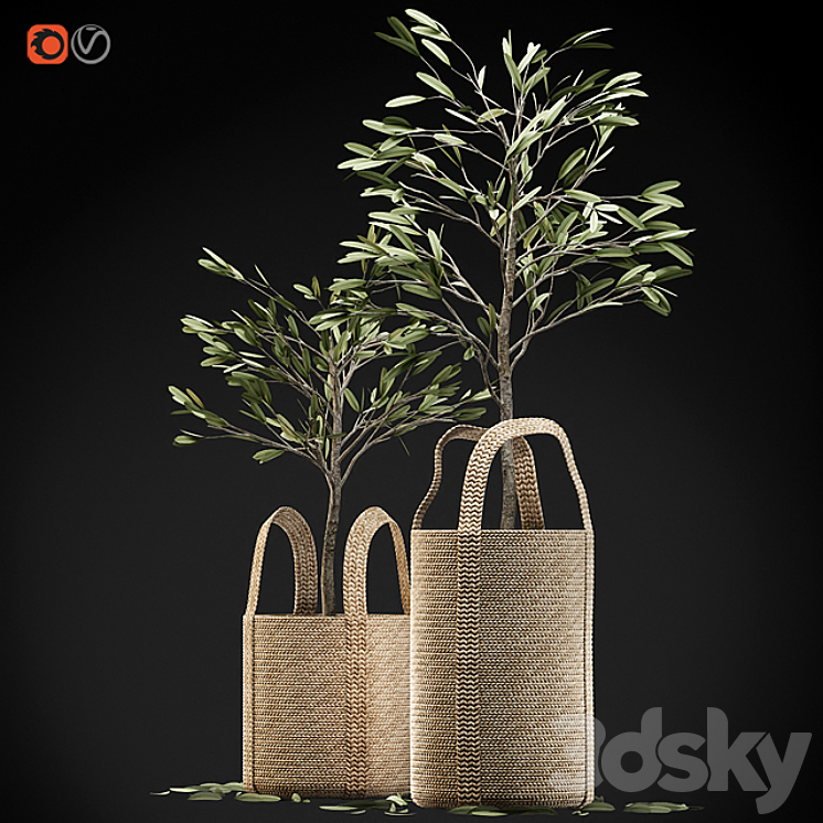 Wicker basket containing the delicate olive tree in pastel tones 3DS Max - thumbnail 2