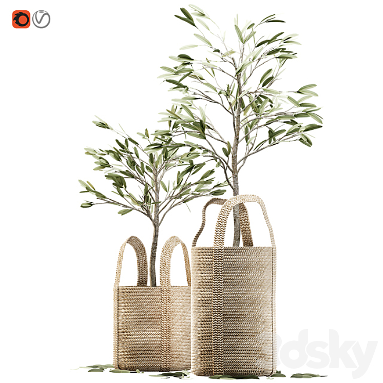 Wicker basket containing the delicate olive tree in pastel tones 3DS Max - thumbnail 1