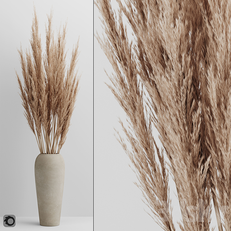 A bunch of Pampas 4 3DS Max - thumbnail 1