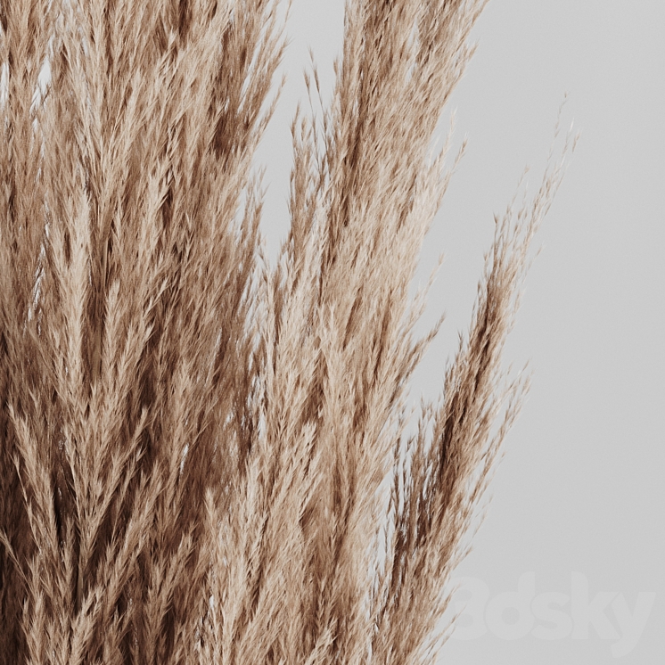 A bunch of Pampas 4 3DS Max - thumbnail 2