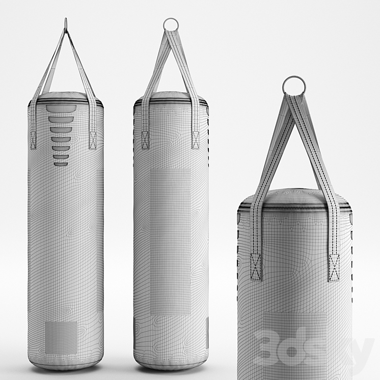 CENTURY Brave hanging Boxing bag 3D Model