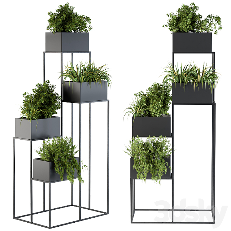 Black Box Plants on stand 3DS Max - thumbnail 1