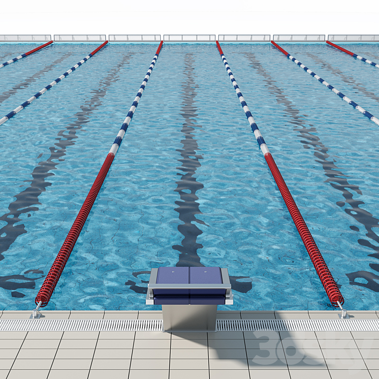 Olympic-size competition swimming pool 3DS Max - thumbnail 2