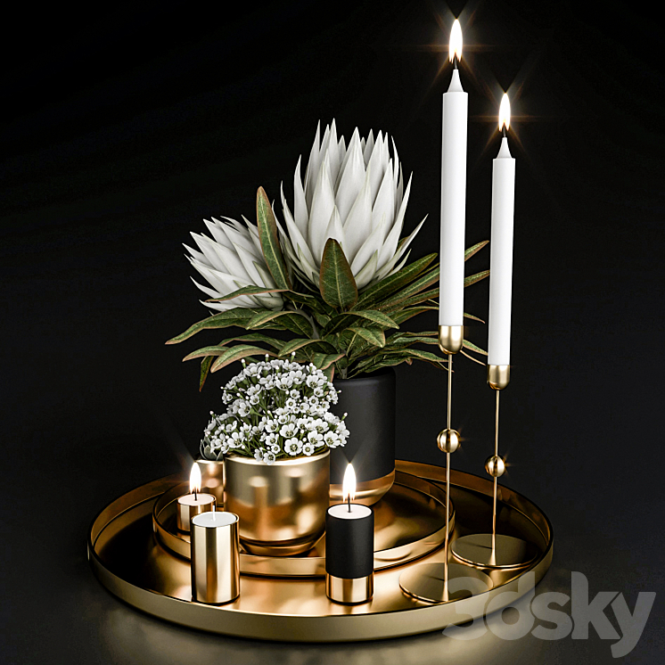 Decorative set with plants in pots. 3D Model