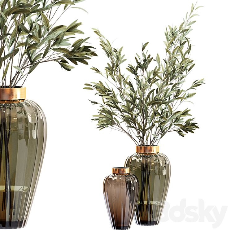 Olive stems in zara glass vase with water 3DS Max - thumbnail 1
