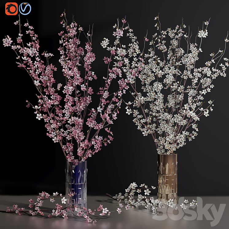 Cherry Blossom Sakura Flower Branch Vases 3DS Max Model - thumbnail 1