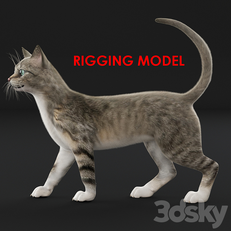 Cat (Riga) 3DS Max - thumbnail 1