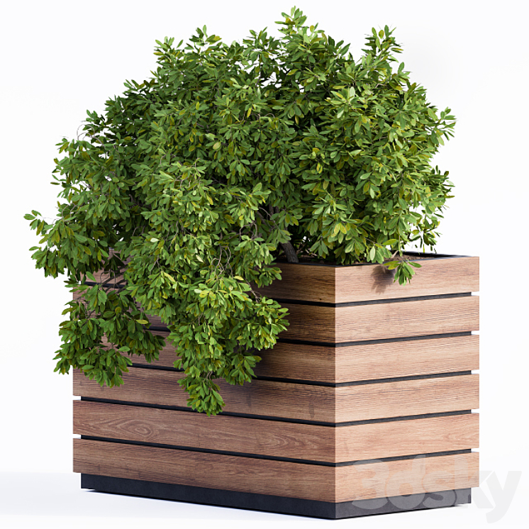 Plant Box Green & Wood 3DS Max - thumbnail 2