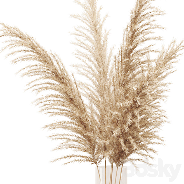 Dried flower pampas grass in glass gold vase 3DS Max - thumbnail 2