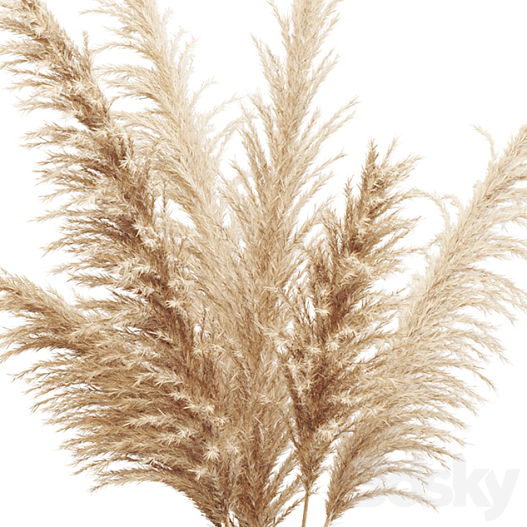 Big dried flower pampas grass in glass vase 3DS Max - thumbnail 2