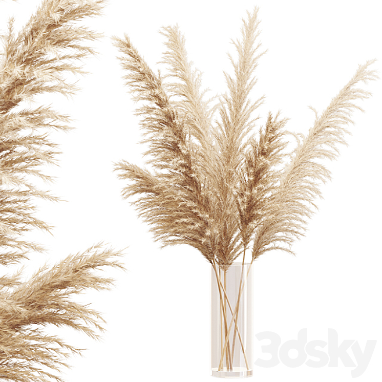 Big dried flower pampas grass in glass vase 3DS Max - thumbnail 1