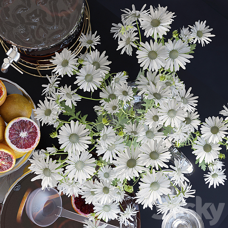 Decorative set with grapefruits. 3D Model
