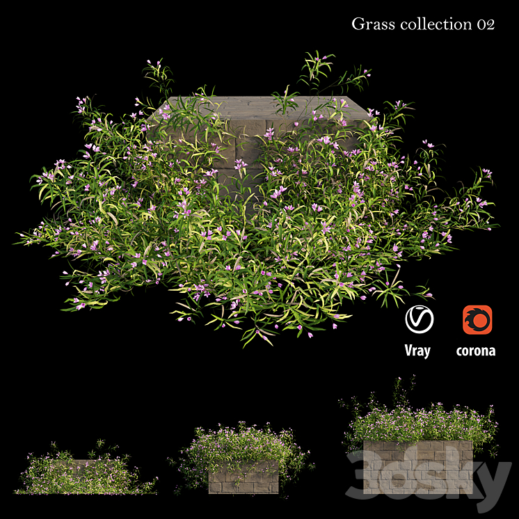 3DS MAX Grass collection 02 3DS Max