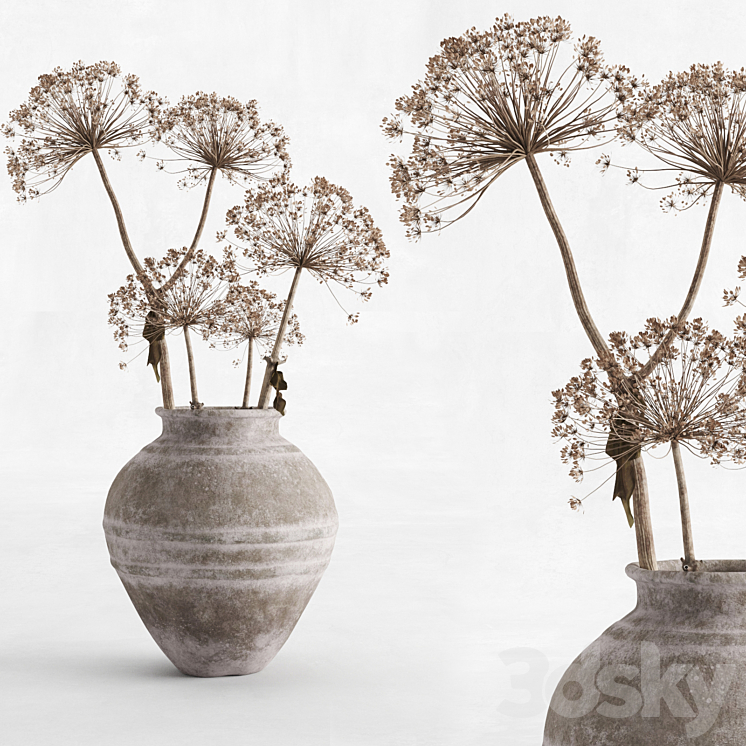 Hogweed in a clay vase 3DS Max - thumbnail 1