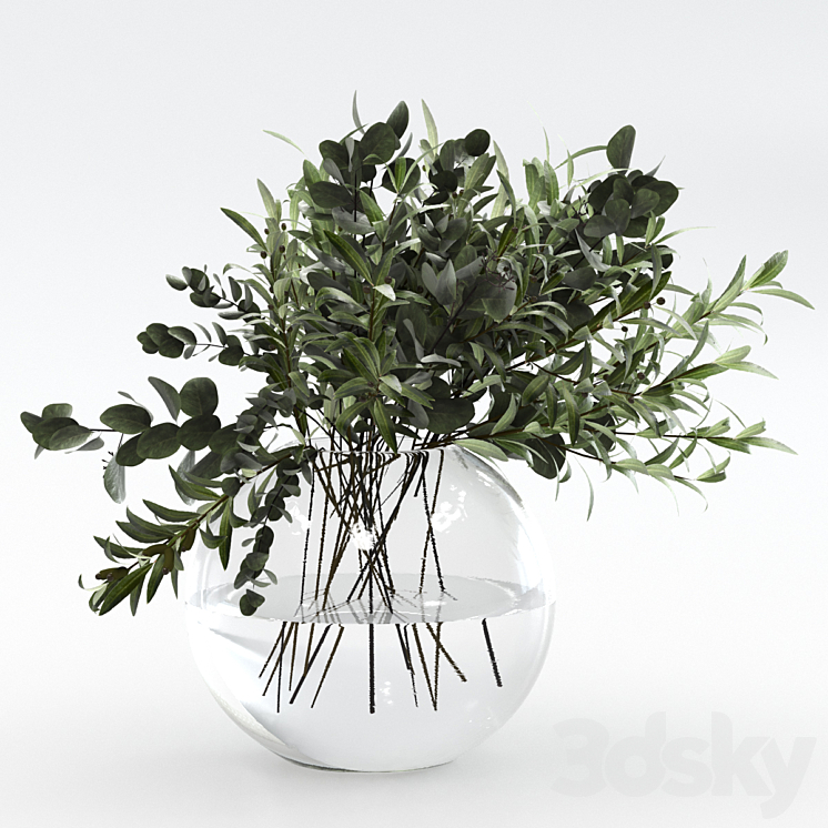 Bouquet of olives and eucalyptus 3D Model