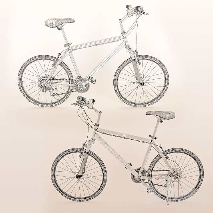 Mountain Bike Author Trophy 3D Model