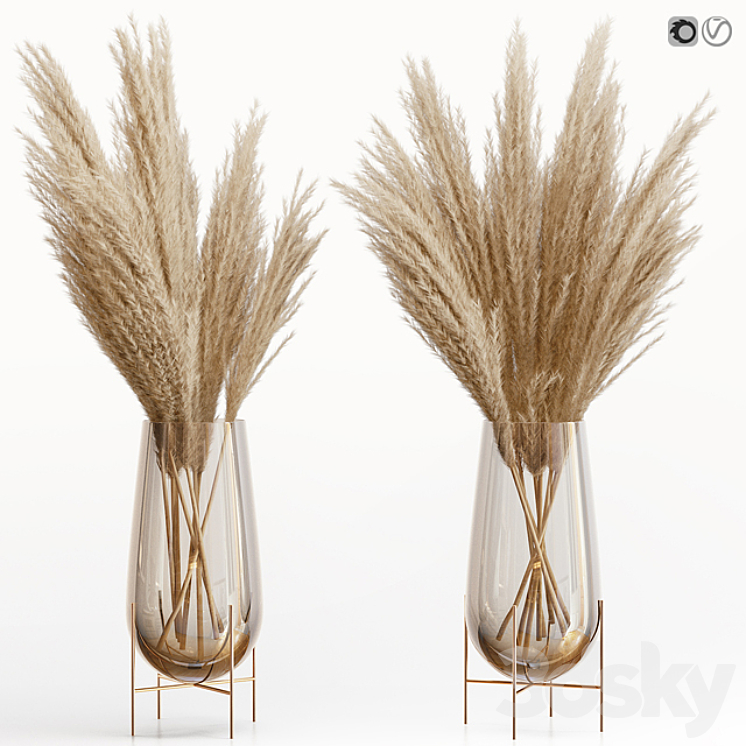 Big dried flower pampas grass in glass vase 5 3DS Max - thumbnail 1