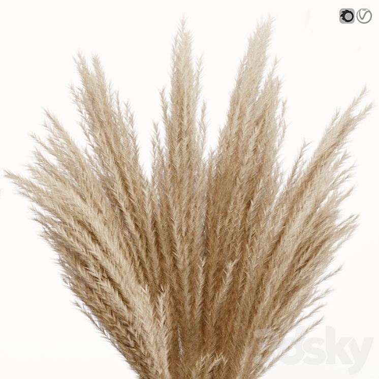 Big dried flower pampas grass in glass vase 5 3DS Max - thumbnail 2