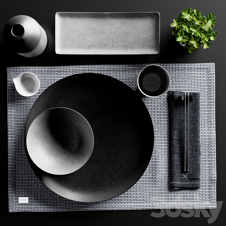 Japanese minimalist Sushi set with Plant from Chalk and Moss 3DS Max - thumbnail 2