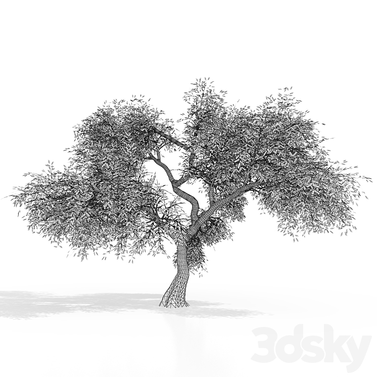 Green tree 2 3D Model