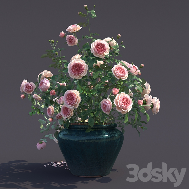 Rose bush in a flowerpot N1 3DS Max Model - thumbnail 2