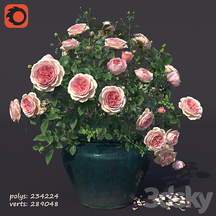 Rose bush in a flowerpot N1 3DS Max Model - thumbnail 1