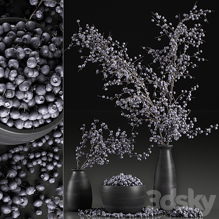 A collection of bouquets of branches with blueberries in black vases with blueberries a bowl with berries natural decor. Set 549. 3D Model