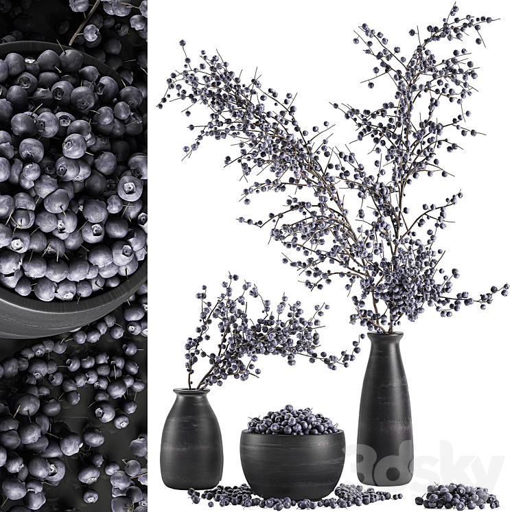 A collection of bouquets of branches with blueberries in black vases with blueberries a bowl with berries natural decor. Set 549. 3DS Max - thumbnail 1