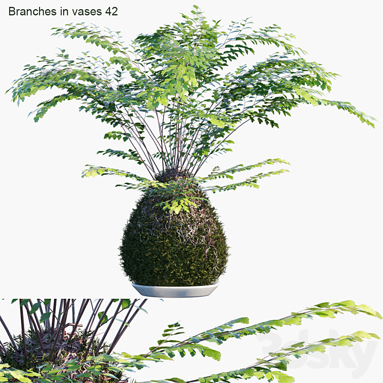 Branches in vases 42: Kokedama 3DS Max Model - thumbnail 1