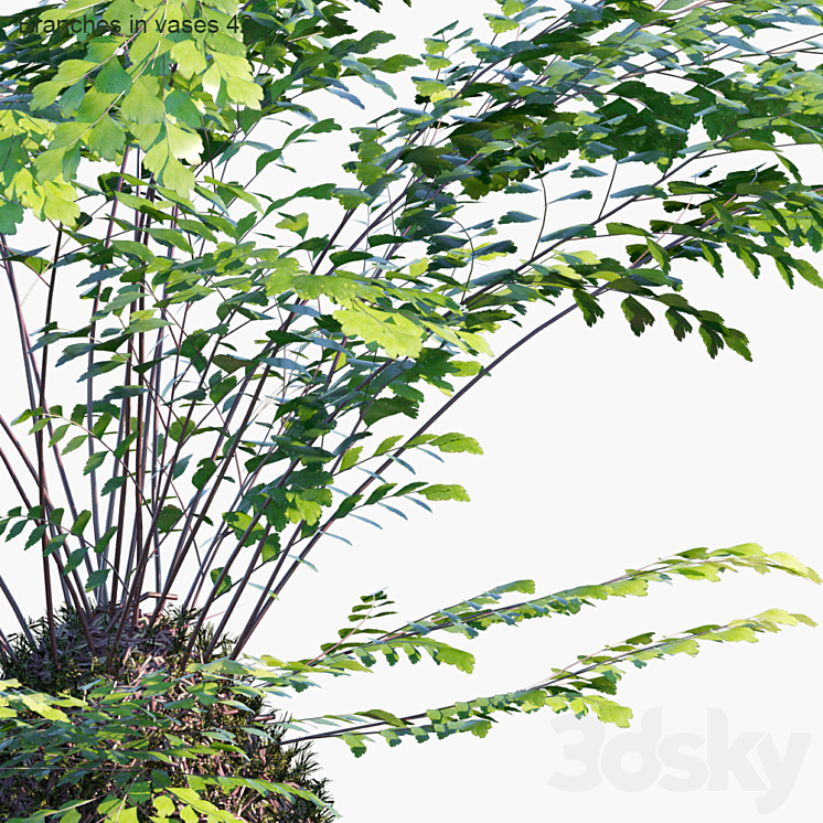 Branches in vases 42: Kokedama 3DS Max Model - thumbnail 2
