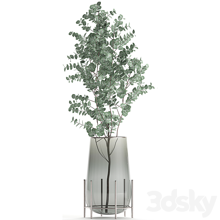 A collection of beautiful bouquets of branches with Eucalyptus leaves in a shelved vase. Set of 100. 3D Model