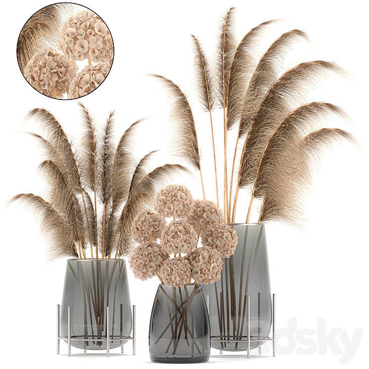 A collection of bouquets of dried flowers in glass vases with Pampas Hydrangea Cortaderia pampas grass reeds. Set 101. 3DS Max - thumbnail 1
