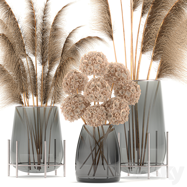 A collection of bouquets of dried flowers in glass vases with Pampas Hydrangea Cortaderia pampas grass reeds. Set 101. 3DS Max - thumbnail 2