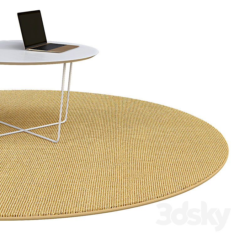 Circle rugs | No. 010 3D Model
