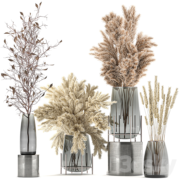 A collection of bouquets of dried flowers in glass vases with Pampas branches Cortaderia pampas grass reeds. Set 103. 3DS Max - thumbnail 1