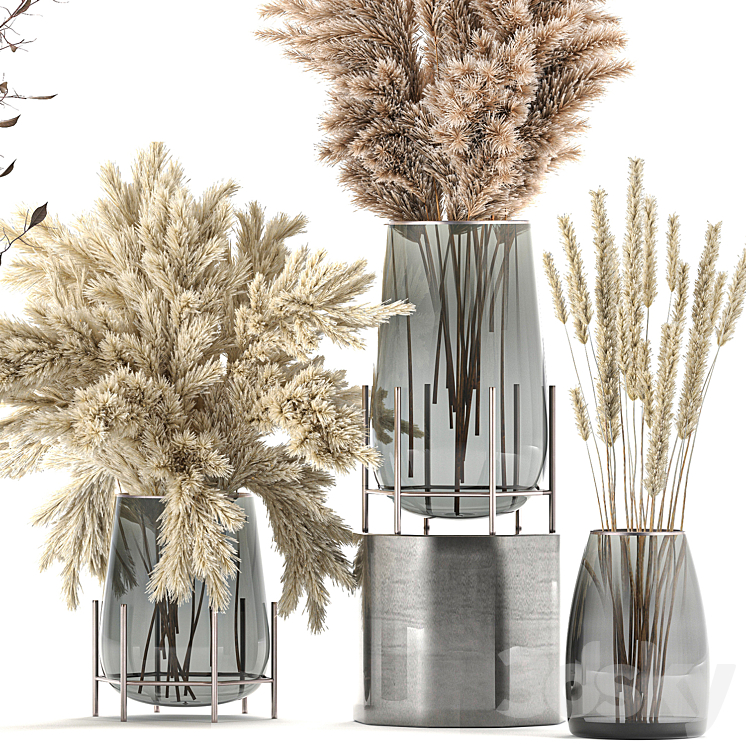 A collection of bouquets of dried flowers in glass vases with Pampas branches Cortaderia pampas grass reeds. Set 103. 3DS Max - thumbnail 2
