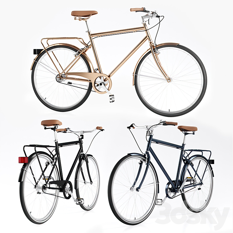 Men’s  Vintage Bike / Bike Vintage Roadster 3D Model