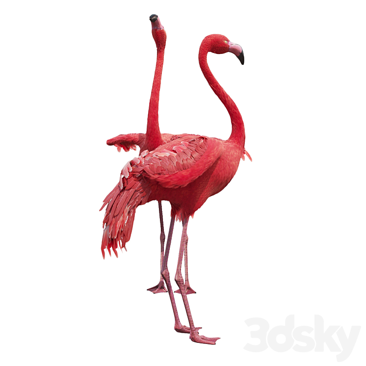 Flamingo-model 3DS Max - thumbnail 2