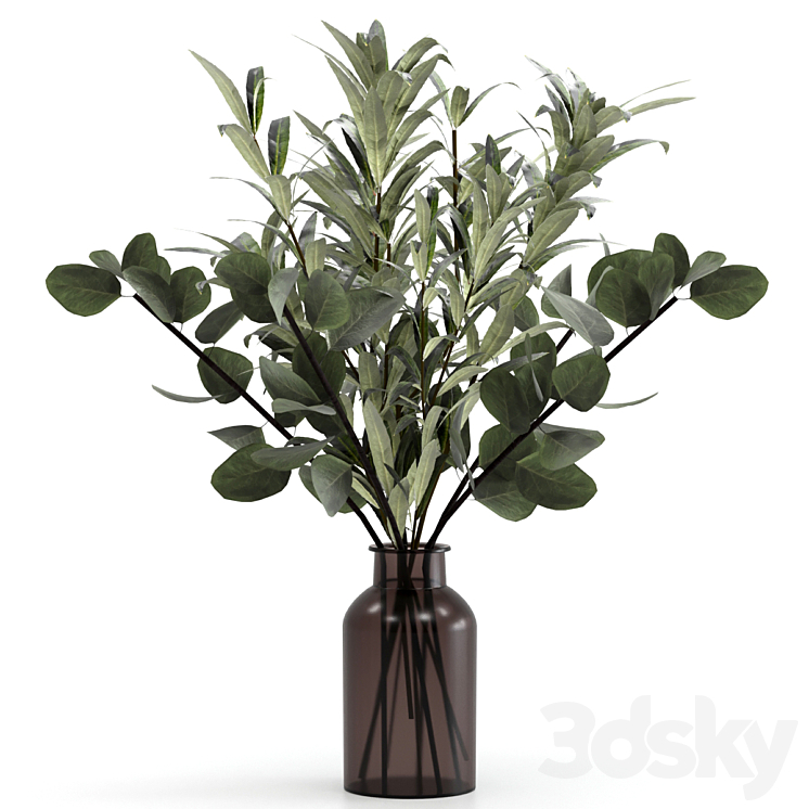 Bouquet of eucalyptus twigs and olives. 3DS Max - thumbnail 1