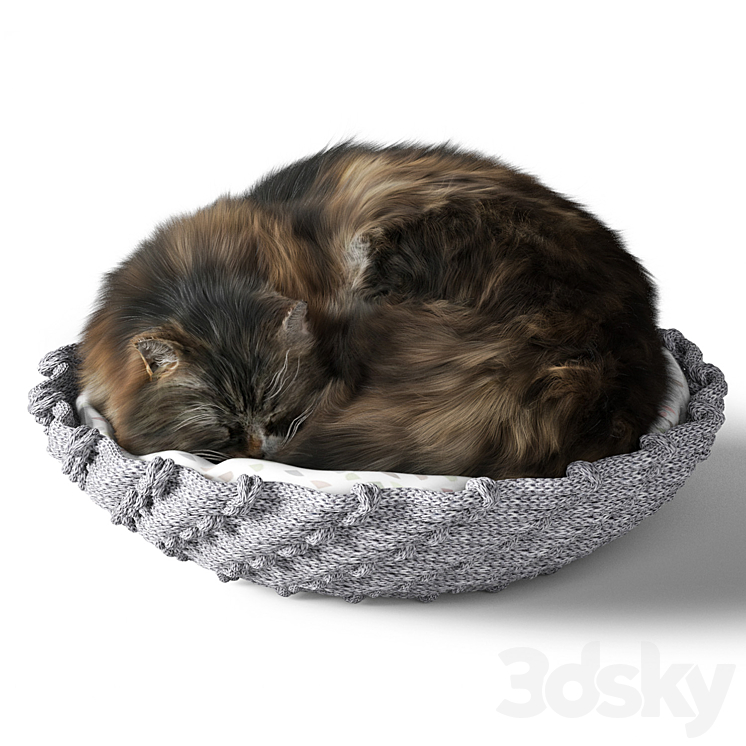 Cat with pillow 3DS Max - thumbnail 1