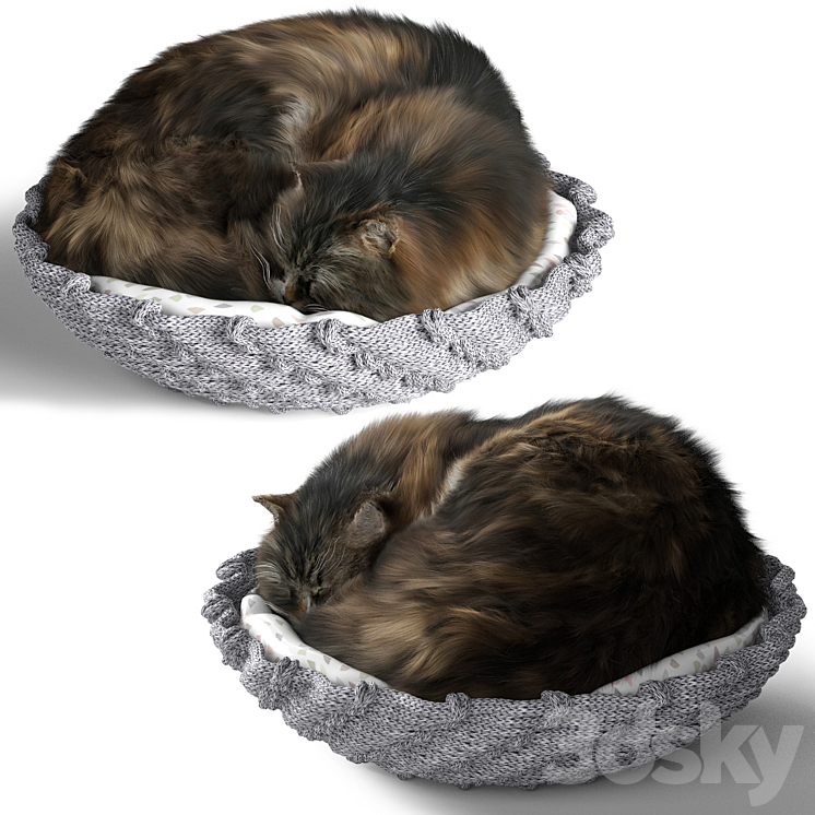 Cat with pillow 3DS Max - thumbnail 2
