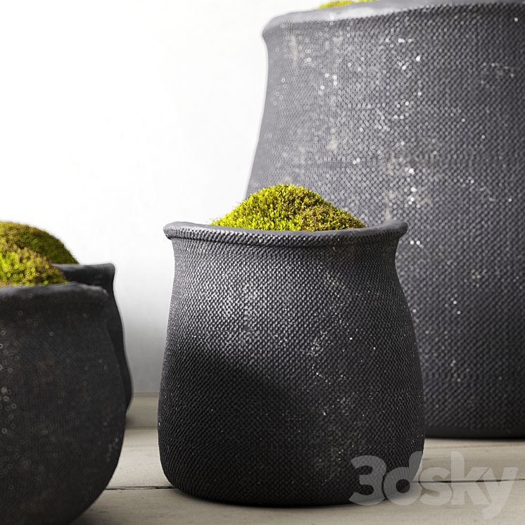 Crosshatch concrete vessel collection with moss 3D Model
