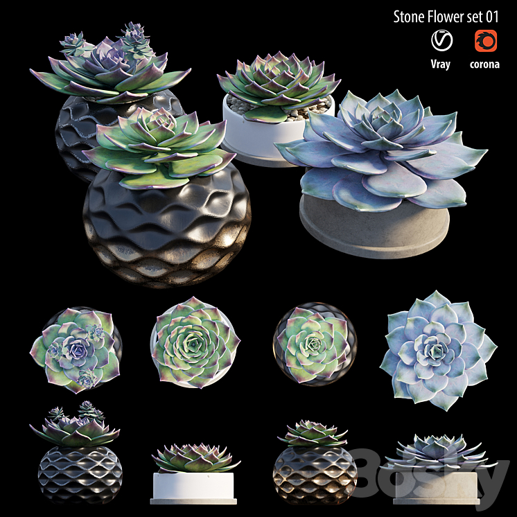 Stone flower set 01 3D Model