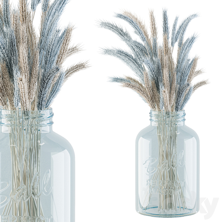 Dry Plants 20 – Blue and Cream Wheat in jam Glass 3DS Max - thumbnail 1