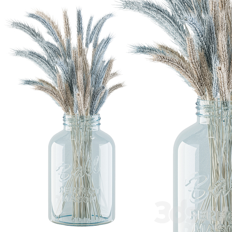 Dry Plants 20 – Blue and Cream Wheat in jam Glass 3DS Max - thumbnail 2