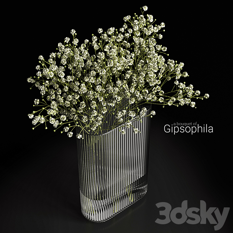 A bouquet of gypsophila 3DS Max - thumbnail 2