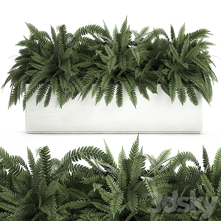 Lush ornamental bushes overgrown in a flowerbed pot with Nephrolepis fern outdoor flowerpot. Set 673. 3DS Max - thumbnail 1