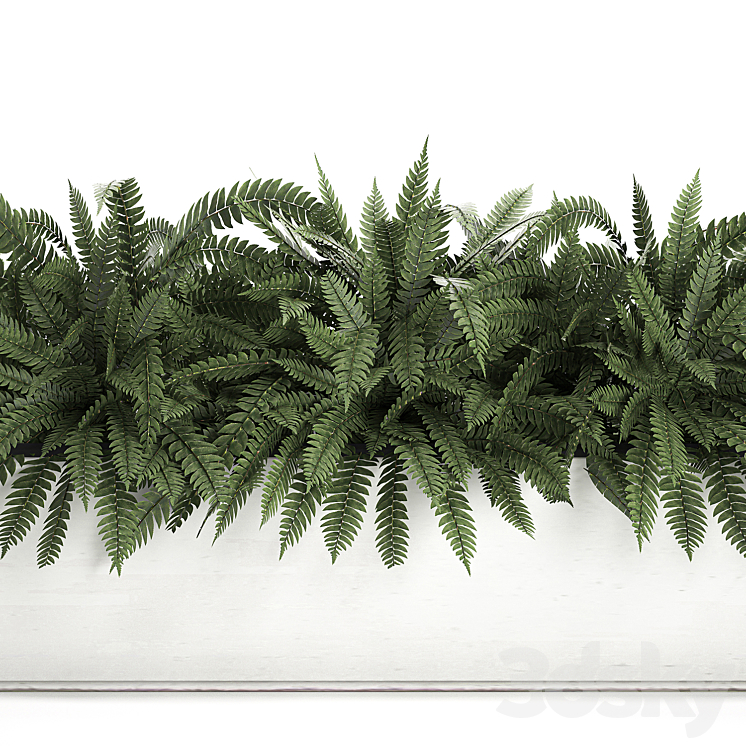Lush ornamental bushes overgrown in a flowerbed pot with Nephrolepis fern outdoor flowerpot. Set 673. 3DS Max - thumbnail 2