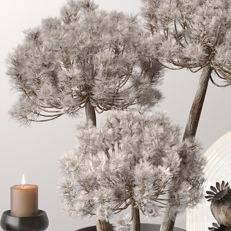 Decor_set_03 with Fluffy Dried Flower 3DS Max - thumbnail 2